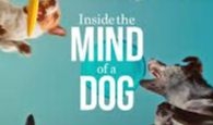 “Documentary for a dog fan”